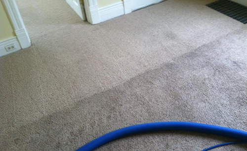 Tile & Grout Cleaning - Steam Tech Carpet Care